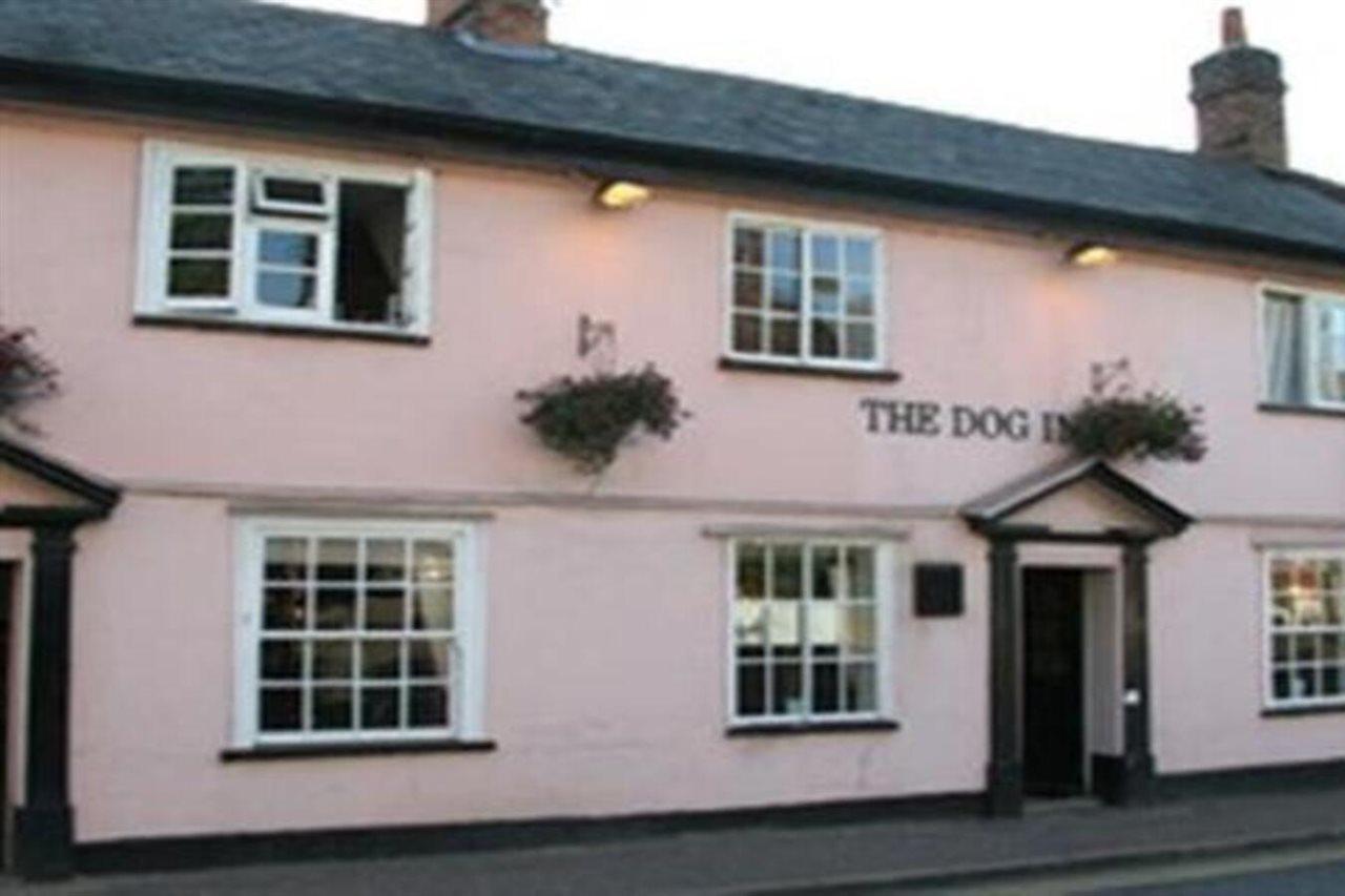 The Dog Inn ฮอลสเตด ภายนอก รูปภาพ